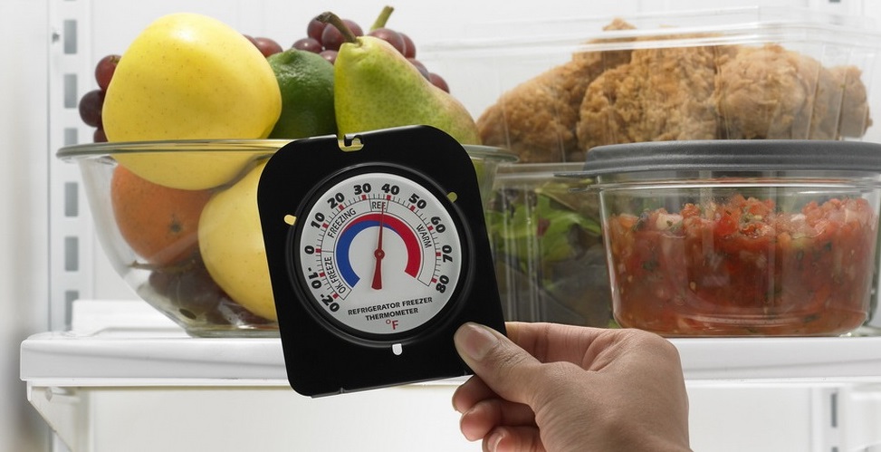 No Frost, Frost Free, Total No Frost и капельная разморозка — в чем разница