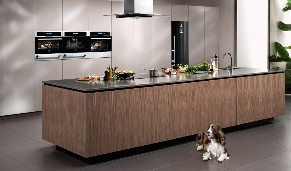 Обзор популярных моделей духовых шкафов 