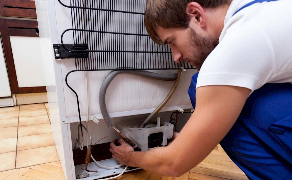 Лучшие по цене и качеству холодильники 2024 года 