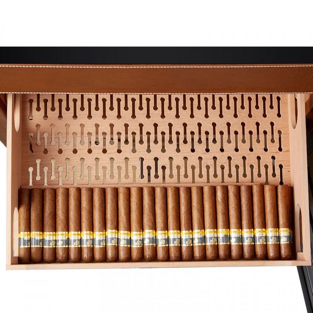 Хьюмидор Afidano L6 (Коньячная кожа) в Тюмени (preview 6)