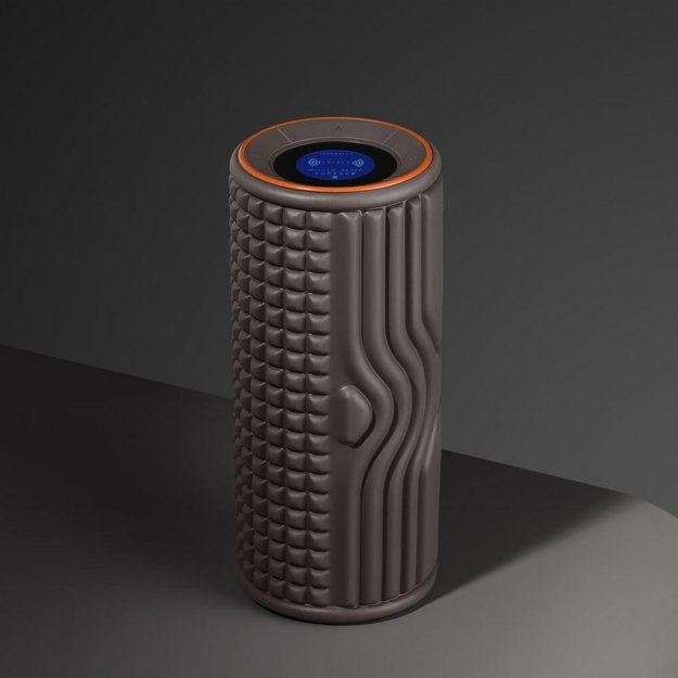 Массажный фитнес-ролик BORK D505  в Тюмени (preview 8)