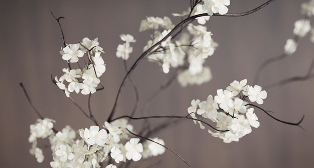 Стиральная машина Toshiba TW-T21BU90UWRU(MG) в Тюмени (video 1)