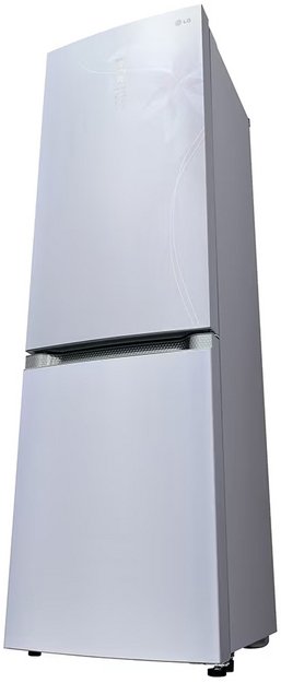 Холодильник LG GA-B 489 TGDF в Тюмени (preview 5)