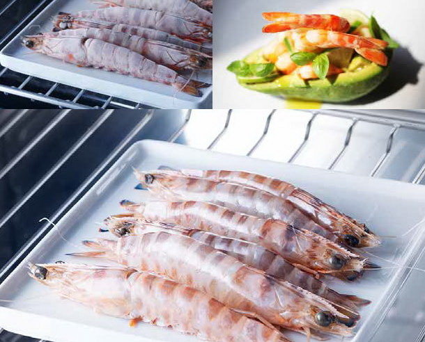 Встраиваемый шкаф шоковой заморозки Irinox Freddy 60 HF602350019 (под навесную панель/анодированная сталь) в Тюмени (preview 9)