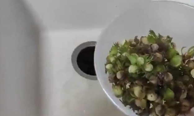 Измельчитель пищевых отходов InSinkErator Premium 550EC в Тюмени (video 3)
