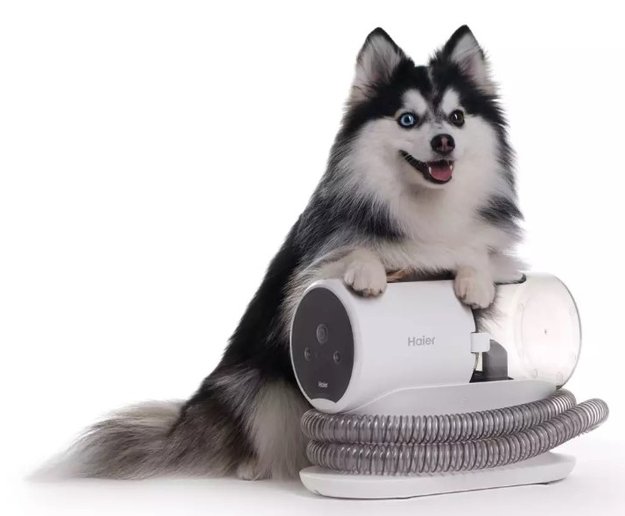 Пылесос для груминга Haier PetPure M Pro в Тюмени (preview 6)