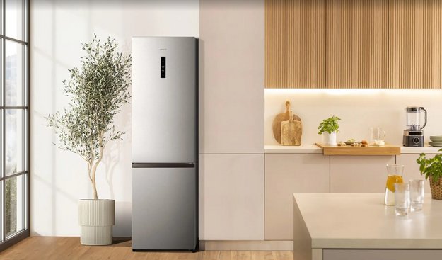 Отдельностоящий двухкамерный холодильник Gorenje NRK620161X4I в Тюмени (preview 6)