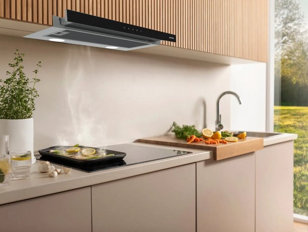 Встраиваемая вытяжка Gorenje TH60E8SGB в Тюмени (preview 6)