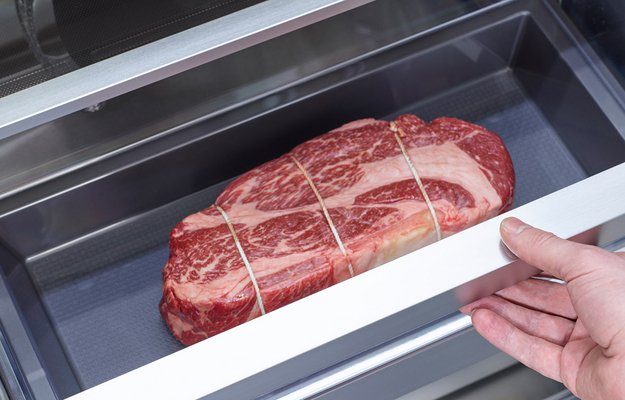 Встраиваемая морозильная камера Signature Kitchen Suite SKSCF2431P в Тюмени (preview 5)