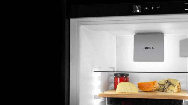 Встраиваемый холодильник BORA XL C194KGS2 в Тюмени (preview 5)