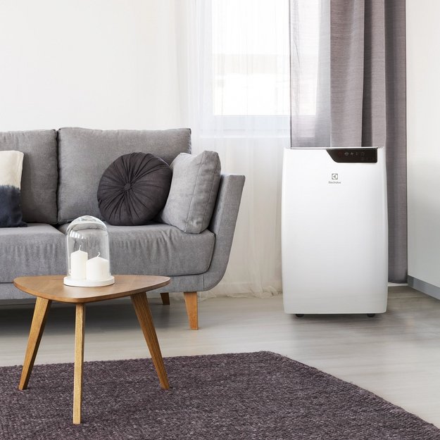 Мобильный кондиционер Electrolux EACM-12 GT/N6 в Тюмени (preview 11)