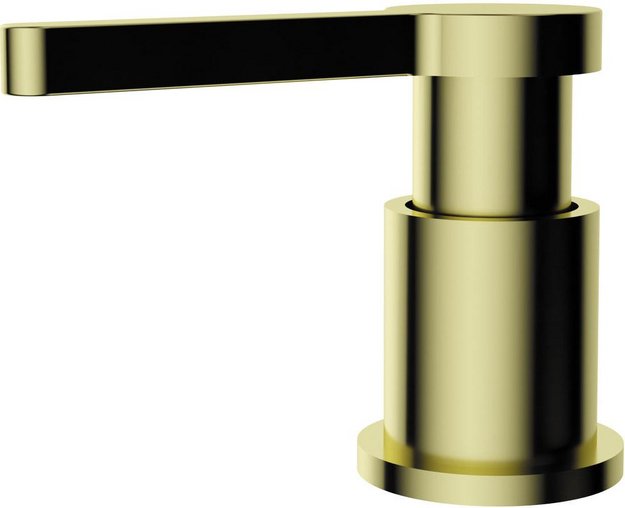 Дозатор Omoikiri OM-04 LG в Тюмени (фото 1) Дозатор Omoikiri OM-04 LG в Тюмени (preview 1)