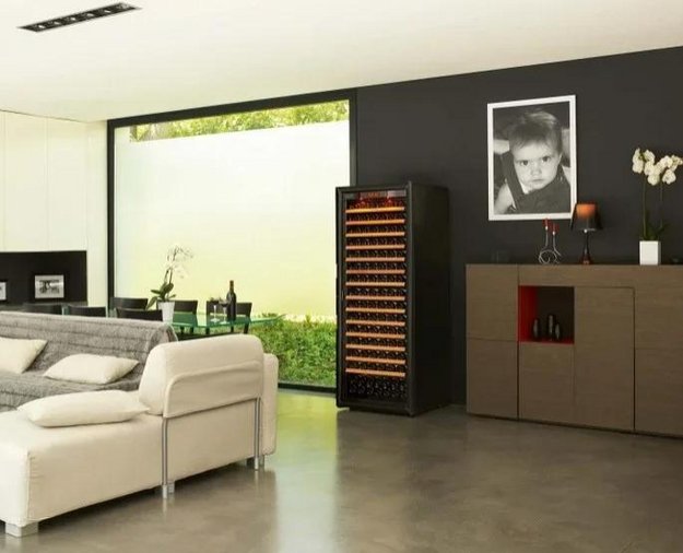 Монотемпературный винный шкаф EuroCave P-300048-L в Тюмени (preview 3)