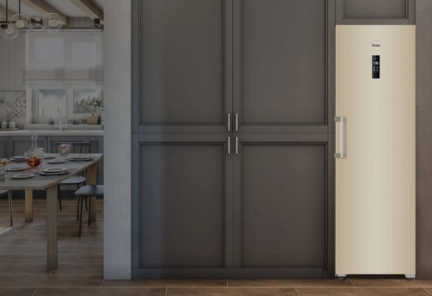 Морозильная камера Haier H2F-262GAA в Тюмени (preview 5)