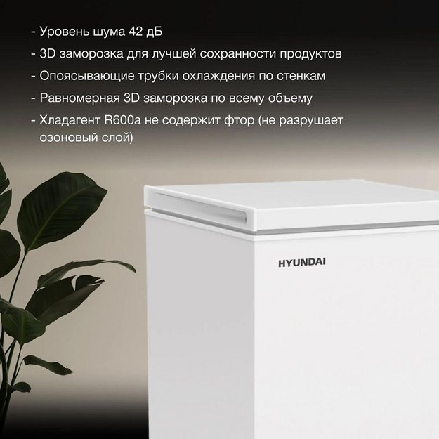 Морозильный ларь Hyundai CH10081 в Тюмени (preview 7)