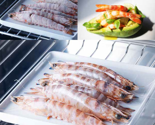 Шкаф шоковой заморозки Irinox Freddy 60 HF602350001 (нержавеющая сталь/черный) в Тюмени (preview 11)