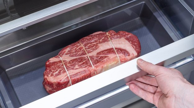 Встраиваемая морозильная камера Signature Kitchen Suite SKSCF2411P в Тюмени (preview 4)