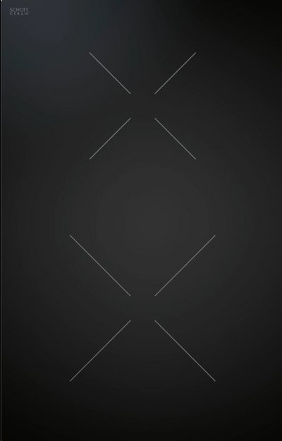 Варочная панель BORA CKI в Тюмени (preview 1)