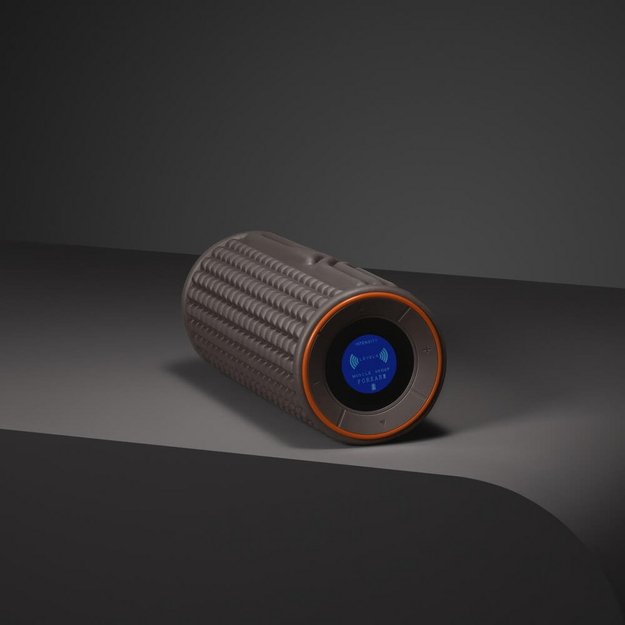 Массажный фитнес-ролик BORK D505  в Тюмени (preview 10)