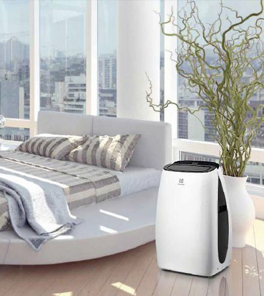 Мобильный кондиционер Electrolux EACM-13 HR/N3 в Тюмени (preview 3)