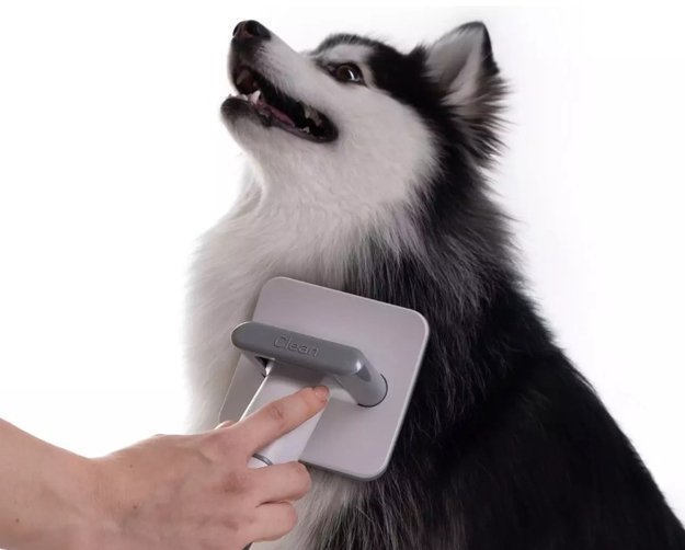 Пылесос для груминга Haier PetPure M Pro в Тюмени (preview 7)