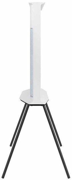 Телевизор Samsung QE50LS01BAUXCE в Тюмени (preview 7)