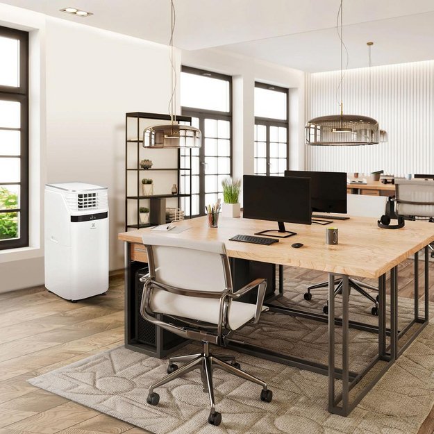 Мобильный кондиционер Electrolux EACM-20 JK/N3 в Тюмени (preview 9)