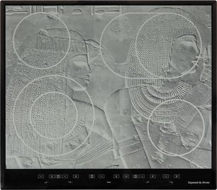 Варочная панель Zigmund Shtain CNS 09.6 DX фото в Тюмени