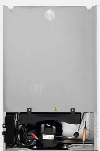 Холодильник Электролюкс LXB1AE13W0 фото 2 в Тюмени Холодильник Electrolux LXB1AE13W0 фото 2 в Тюмени