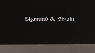 Духовой шкаф Зигмунд Штайн EN 132.921 S фото 4 в Тюмени Духовой шкаф Zigmund Shtain EN 132.921 S фото 4 в Тюмени