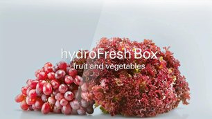 Холодильник Siemens KG 49NAI22R фото 3 в Тюмени