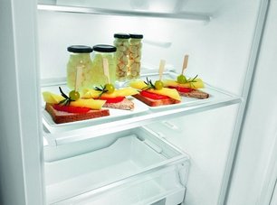 Встраиваемый холодильник Fulgor Milano FBR 350 E фото 3 в Тюмени