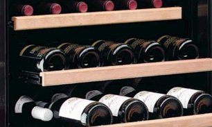 Винный шкаф IP C 500 CF фото 2 в Тюмени