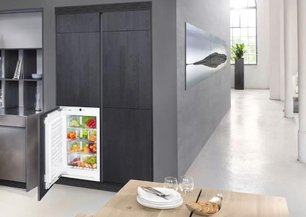Холодильник Либхер IB 1650 фото 4 в Тюмени Холодильник Liebherr IB 1650 фото 4 в Тюмени