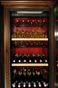 Винный шкаф IP CEX 501 NU фото 4 в Тюмени