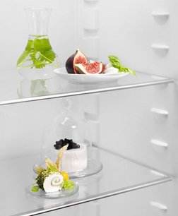 Встраиваемый холодильник Electrolux LRB3AE12S фото 4 в Тюмени