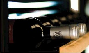 Винный шкаф IP C 150 CF фото 3 в Тюмени