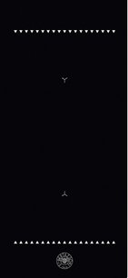 Варочная панель Bertazzoni P604IC2B2NEE фото 3 в Тюмени