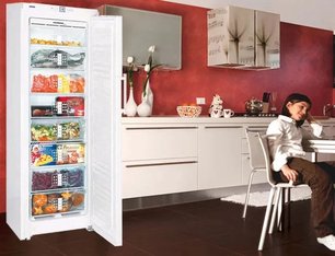 Морозильник Либхер GN 3056 Premium NoFrost фото 3 в Тюмени Морозильник Liebherr GN 3056 Premium NoFrost фото 3 в Тюмени