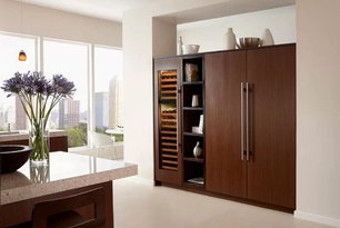 Встраиваемый холодильник Sub-Zero ICBIC-30RID-LH фото 3 в Тюмени