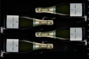 Винный шкаф Dunavox DX-58.258DSS фото 3 в Тюмени