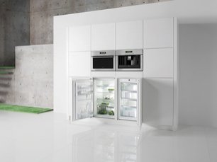 Однокамерный холодильник Gorenje Plus GDR 67088 B фото 2 в Тюмени