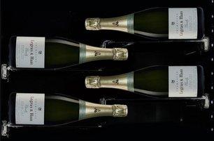 Винный шкаф Dunavox DX-58.258DB фото 3 в Тюмени