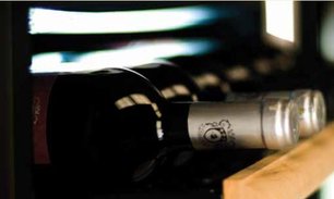 Винный шкаф IP C 601 CF фото 3 в Тюмени