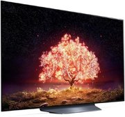 Телевизор LG OLED55B1RLA фото 4 в Тюмени