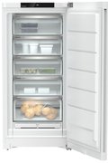 Морозильник Liebherr FNd 6625 фото 4 в Тюмени