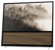 Телевизор Bang & Olufsen BeoVision 14-55 фото 2 в Тюмени