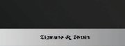 Духовой шкаф Zigmund Shtain EN 59.511 S фото 3 в Тюмени
