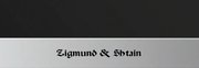 Духовой шкаф Zigmund Shtain EN 59.512 S фото 3 в Тюмени