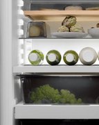 Встраиваемый холодильник BORA C178KGWS2 фото 4 в Тюмени